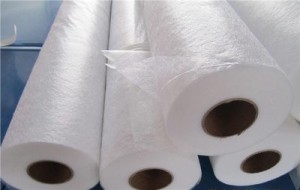 hotmelt adhesive web film